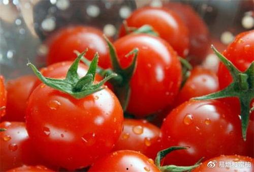 番茄娱乐圈读心吃瓜文,揭秘明星内心世界，吃瓜群众必备指南